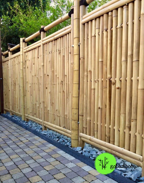 inspirace bambusový plot